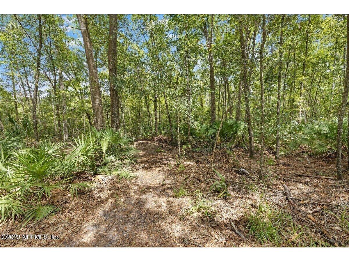 5573 Casavedra Court Jacksonville FL 32244 A4672037 image36