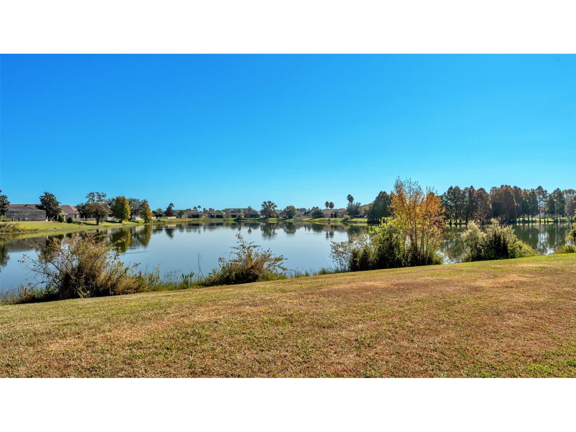 5573 Maggiore Boulevard Lakeland FL 33805 L4960851 image40