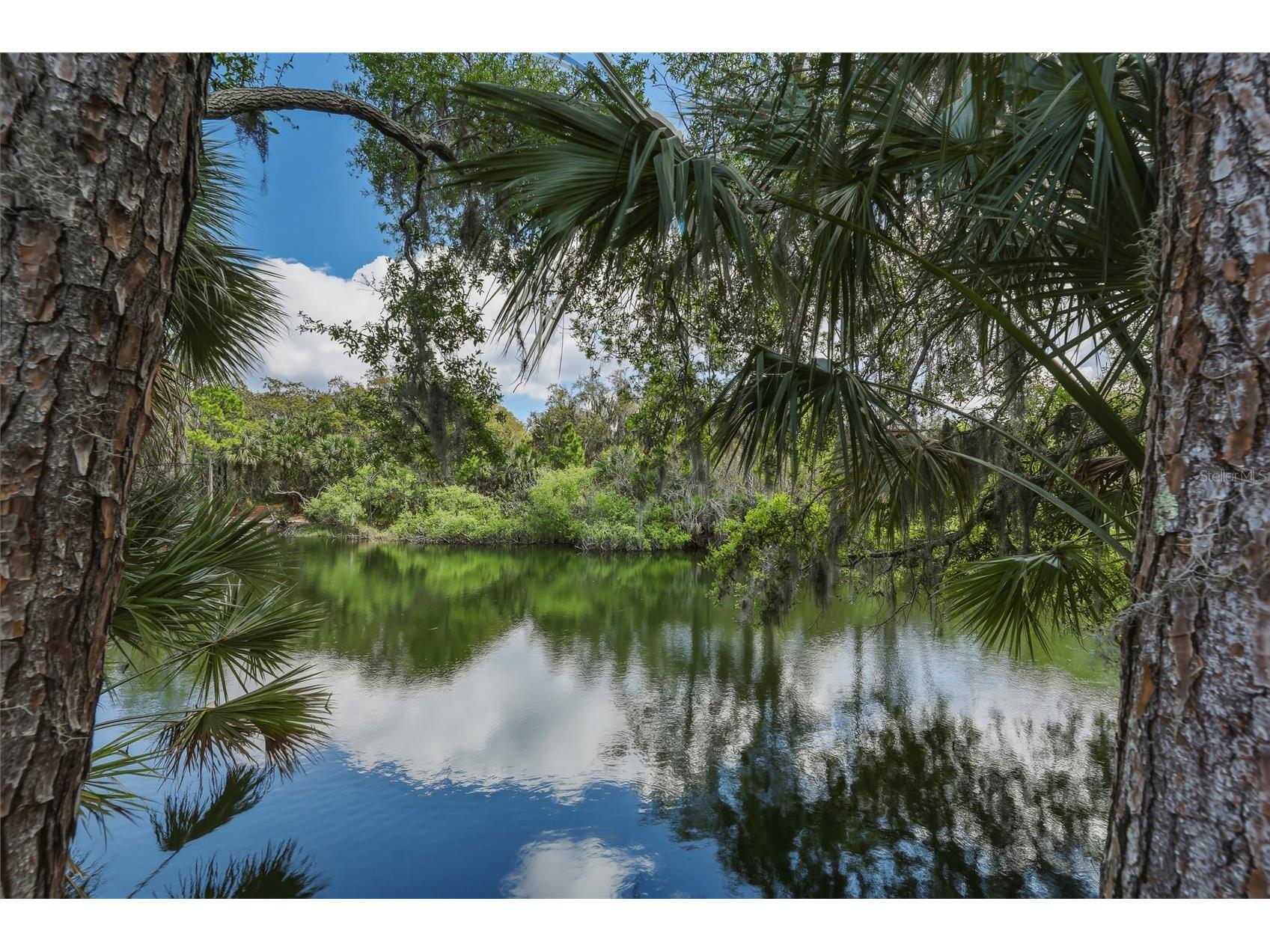 5573 Reagan Avenue Titusville FL 32780 O6422708 image3