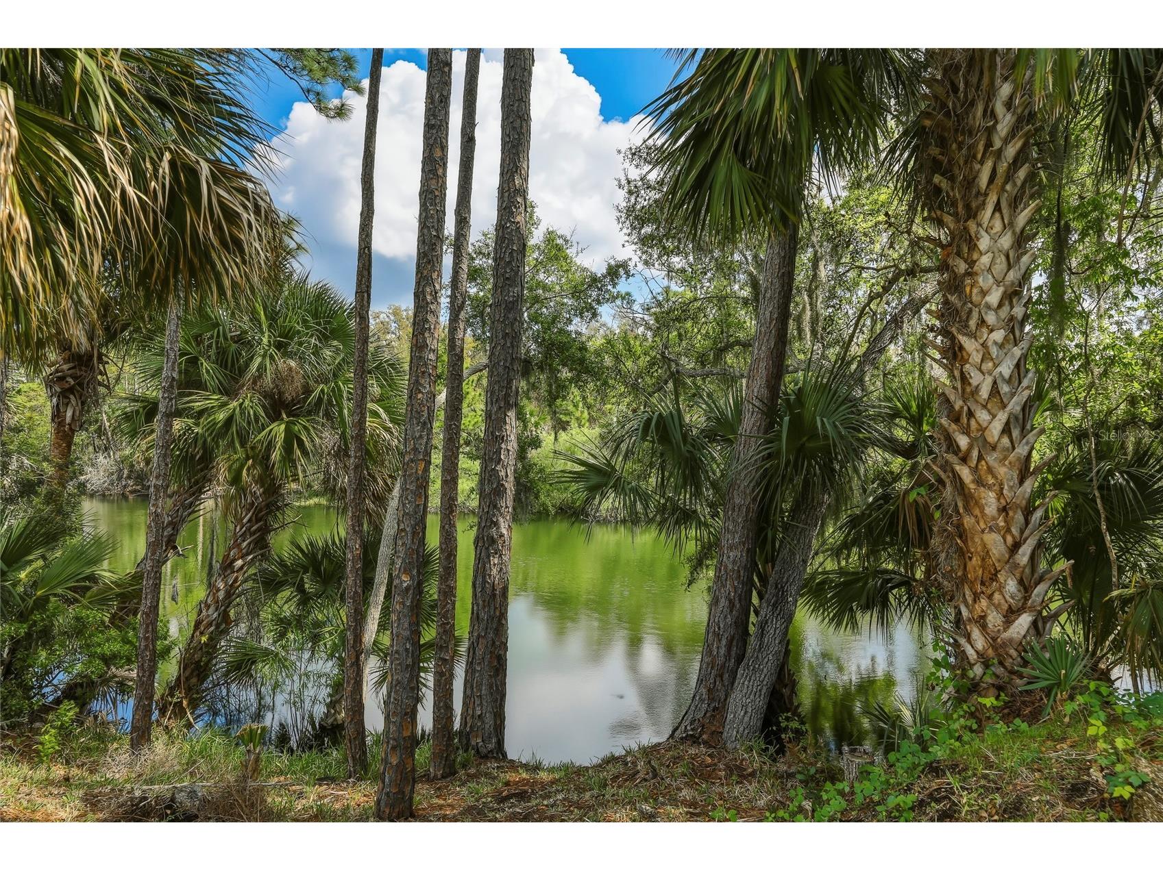 5573 Reagan Avenue Titusville FL 32780 O6422708 image38