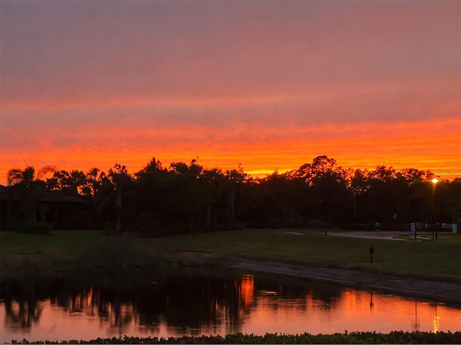 5573 Semolino Street Nokomis FL 34275 A4681421 image54