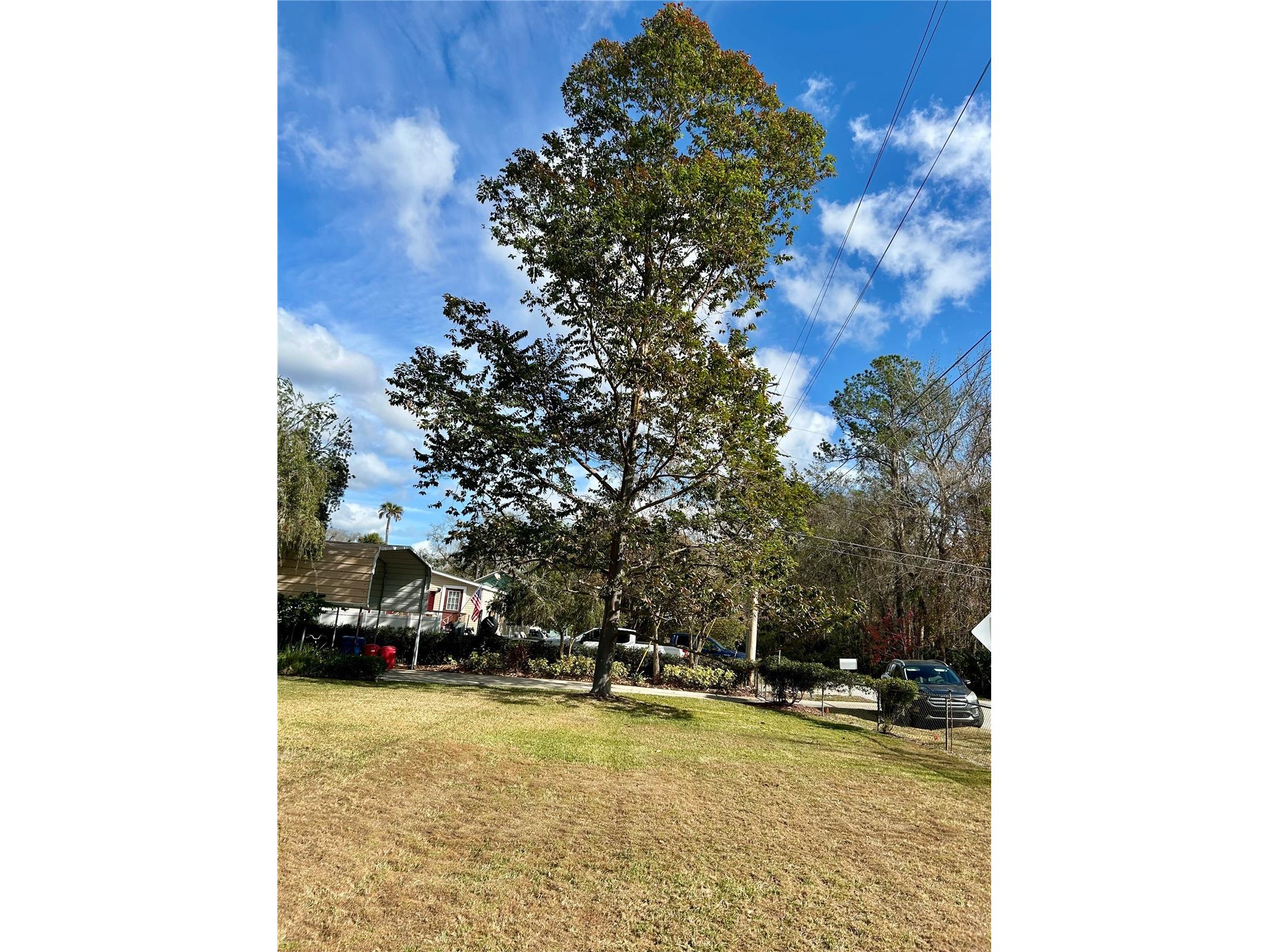 55730 Holiday Circle Astor FL 32102 - ST JOHNS RIVER R4910609 image47