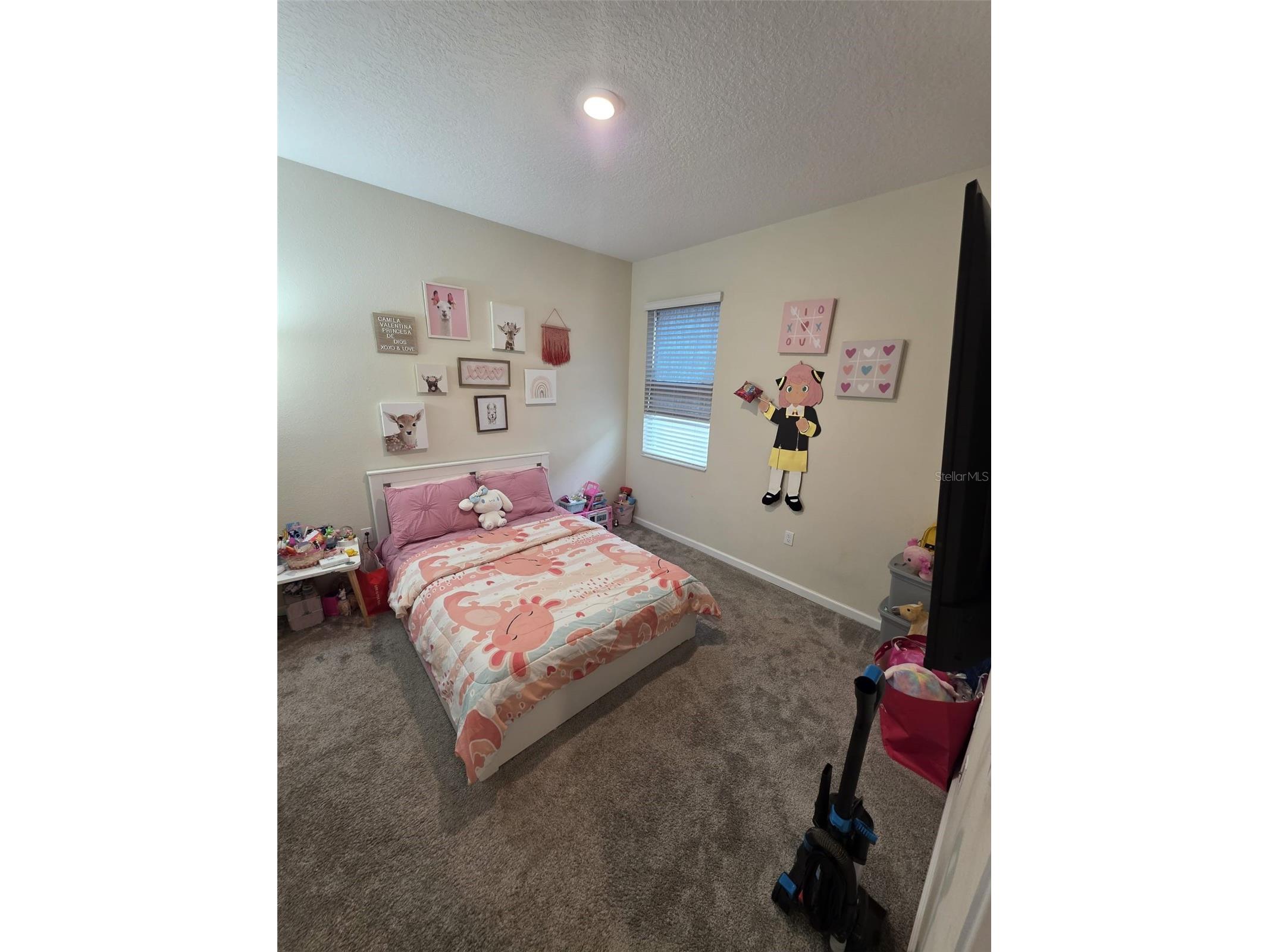 5574 Bakewell Place Saint Cloud FL 34771 S5147456 image7