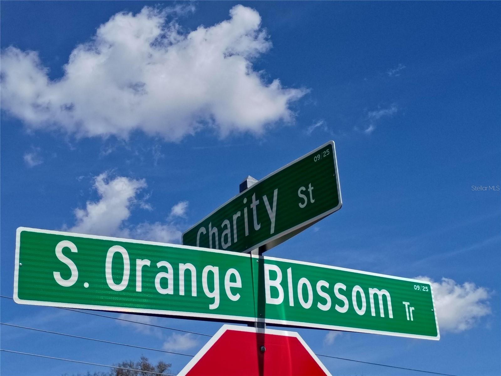 5574 S Orange Blossom Trail Intercession City FL 33848 S5144281 image2