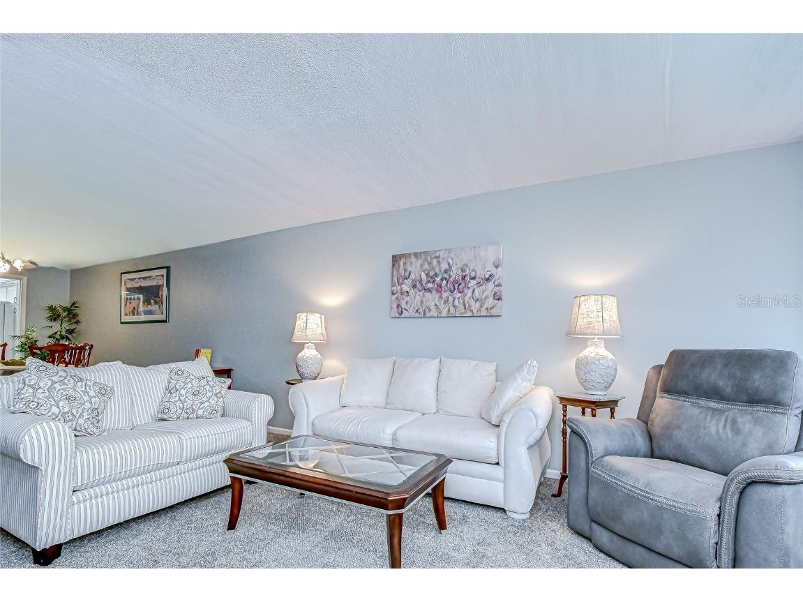 5575 Gulf Boulevard #323 Saint Pete Beach FL 33706 TB8454726 image18