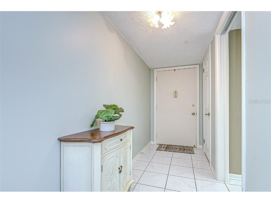 5575 Gulf Boulevard #323 Saint Pete Beach FL 33706 TB8454726 image5