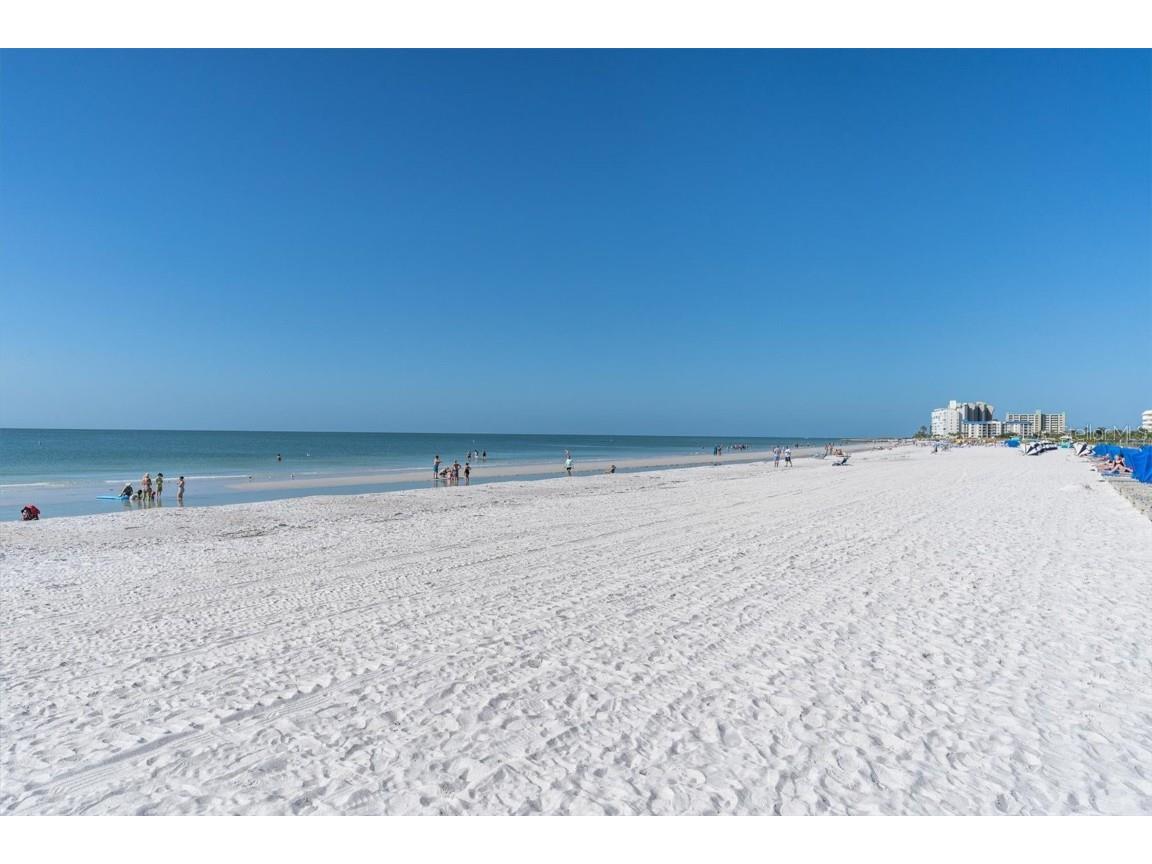 5575 Gulf Boulevard #424 Saint Pete Beach FL 33706 TB8448535 image4