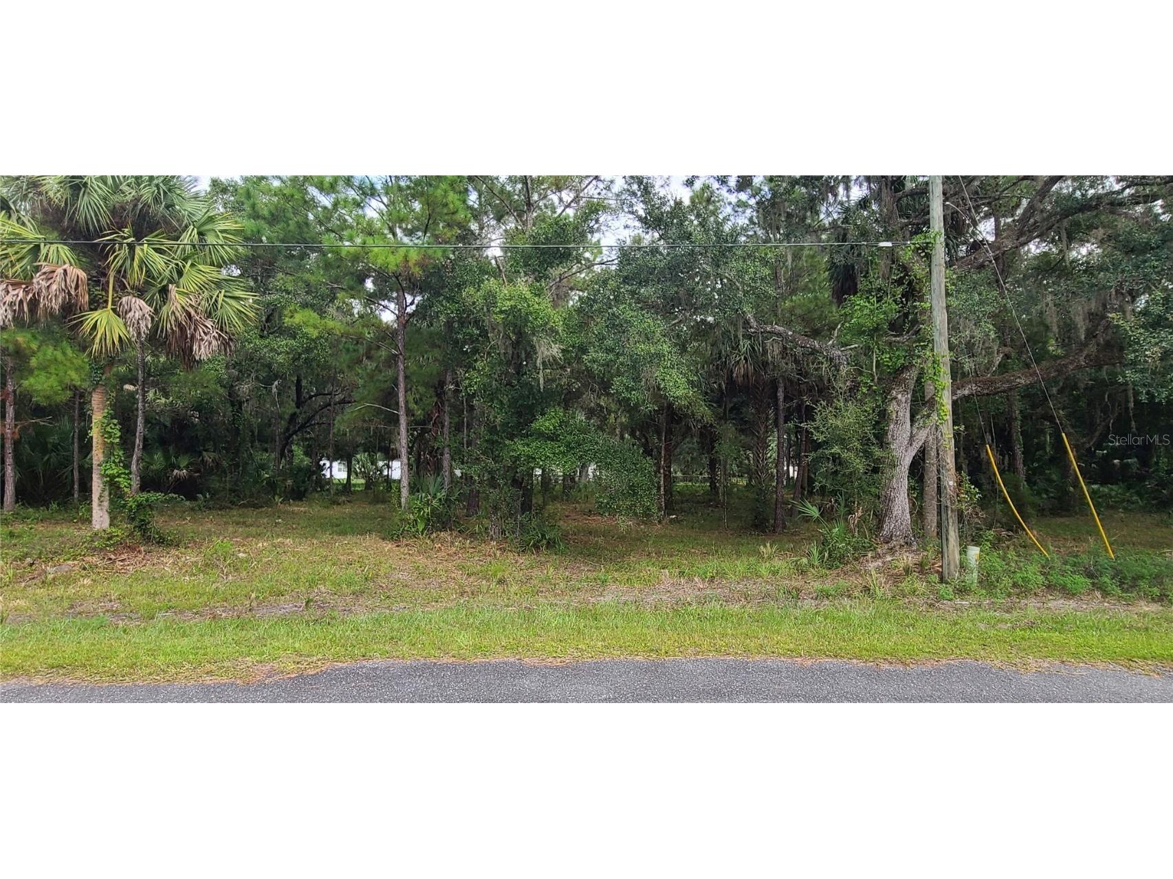 5575 N Brookgreen Drive Crystal River FL 34428 OM675586 image1