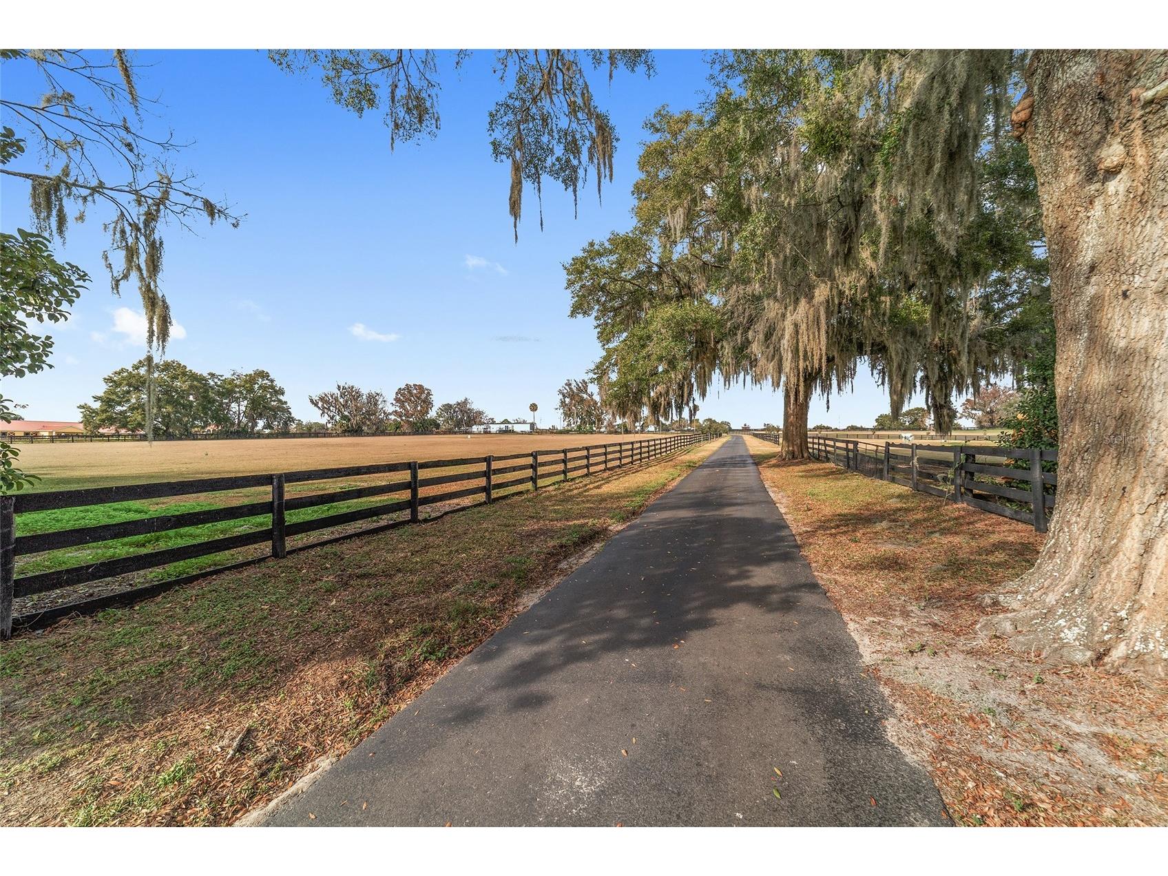 5575 NW 100th Street Ocala FL 34482 OM716397 image53