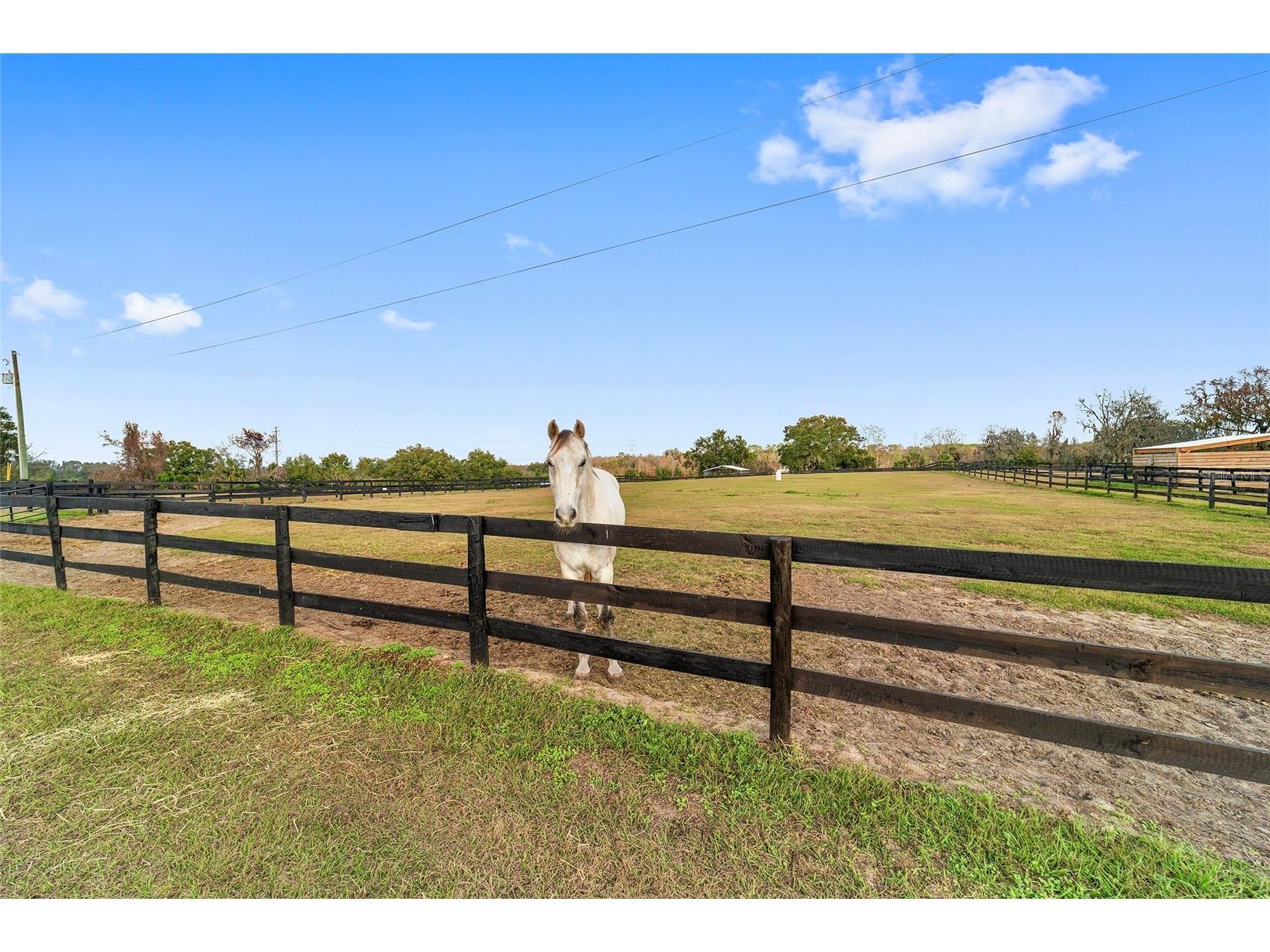 5575 NW 100th Street Ocala FL 34482 OM716397 image87