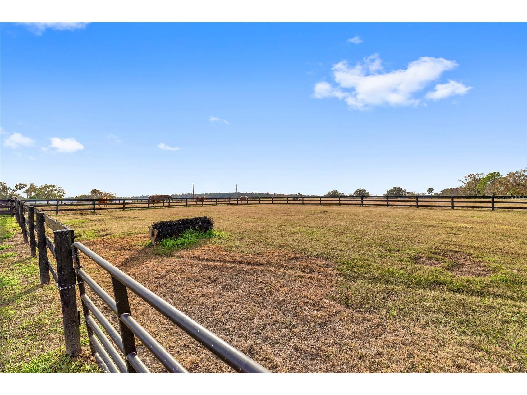 5575 NW 100th Street Ocala FL 34482 OM716397 image88