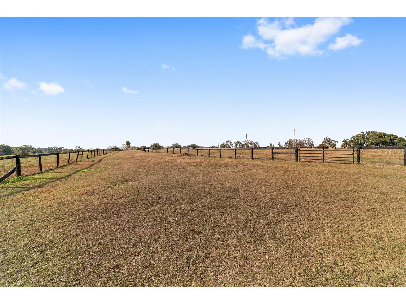 5575 NW 100th Street Ocala FL 34482 OM716397 image89
