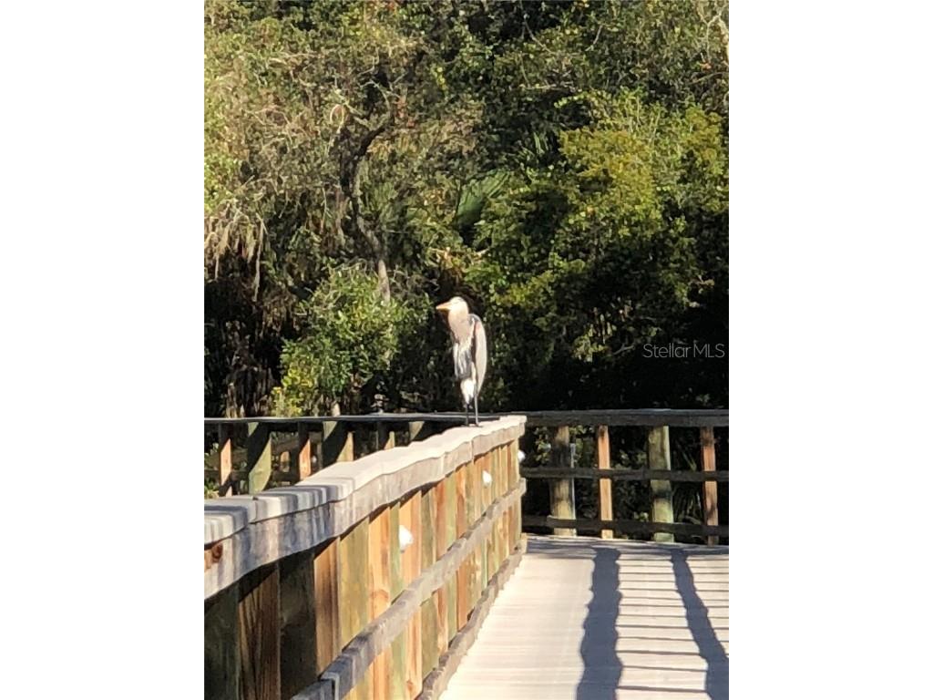 5577 Key West Place #5577 Bradenton FL 34203 - BRAD HAMILTON A4675062 image45