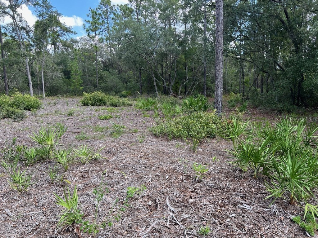 5578 Lassen Street Keystone Heights FL 32656 GC533423 image1