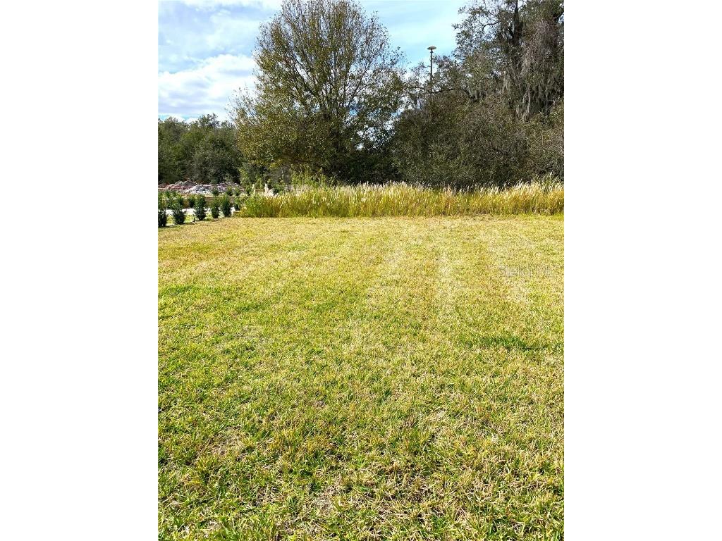 5578 Maggiore Boulevard Lakeland FL 33805 TB8406506 image16