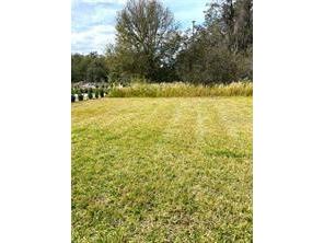 5578 Maggiore Boulevard Lakeland FL 33805 TB8495924 image13