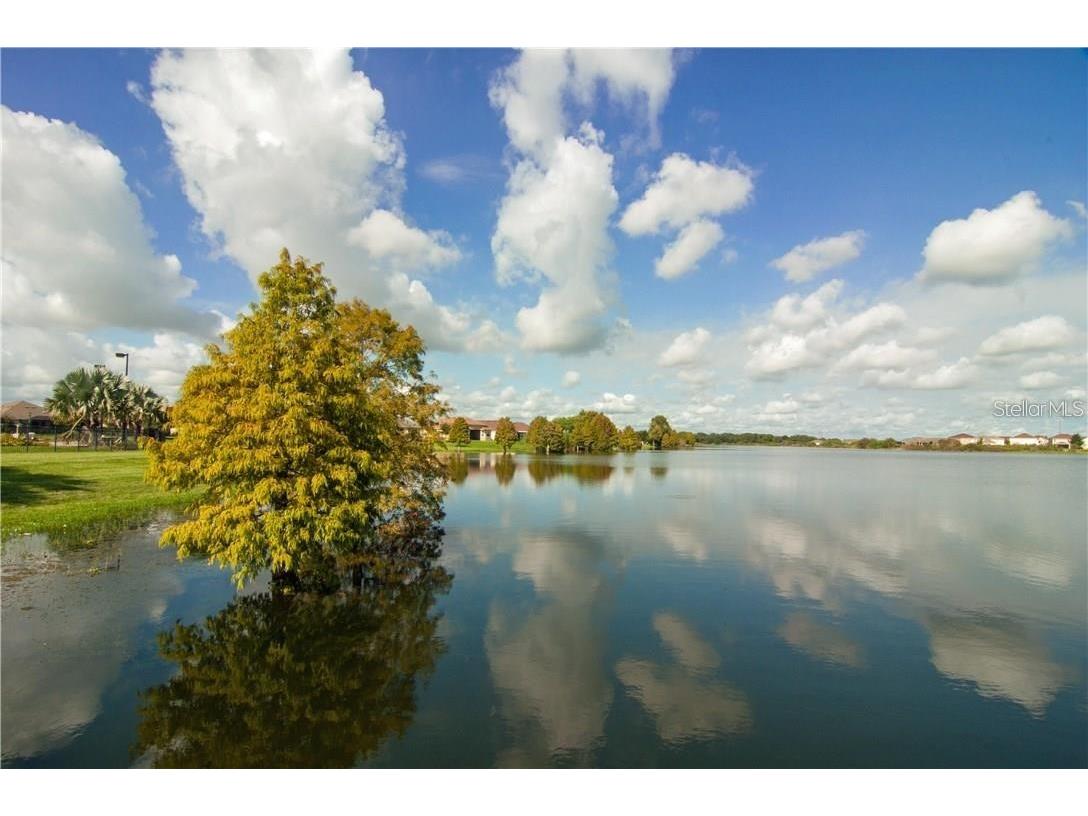 5578 Maggiore Boulevard Lakeland FL 33805 TB8495924 image16