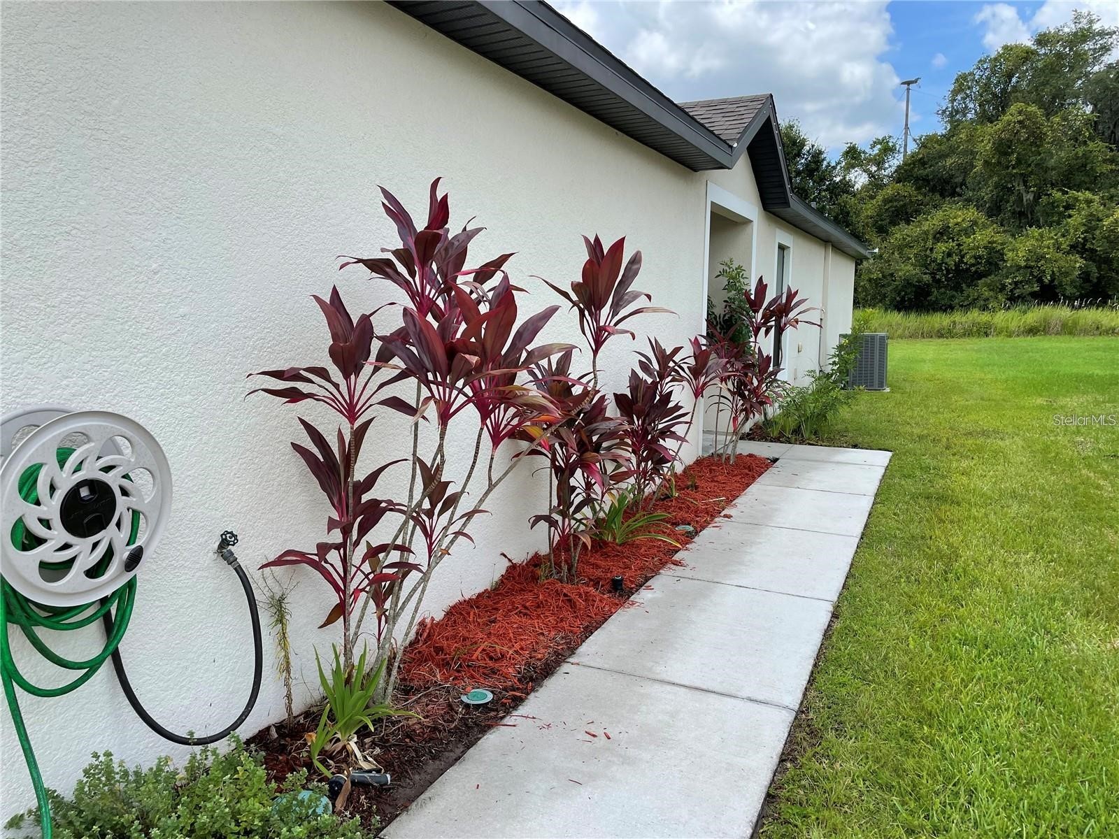 5578 Maggiore Boulevard Lakeland FL 33805 TB8495924 image2
