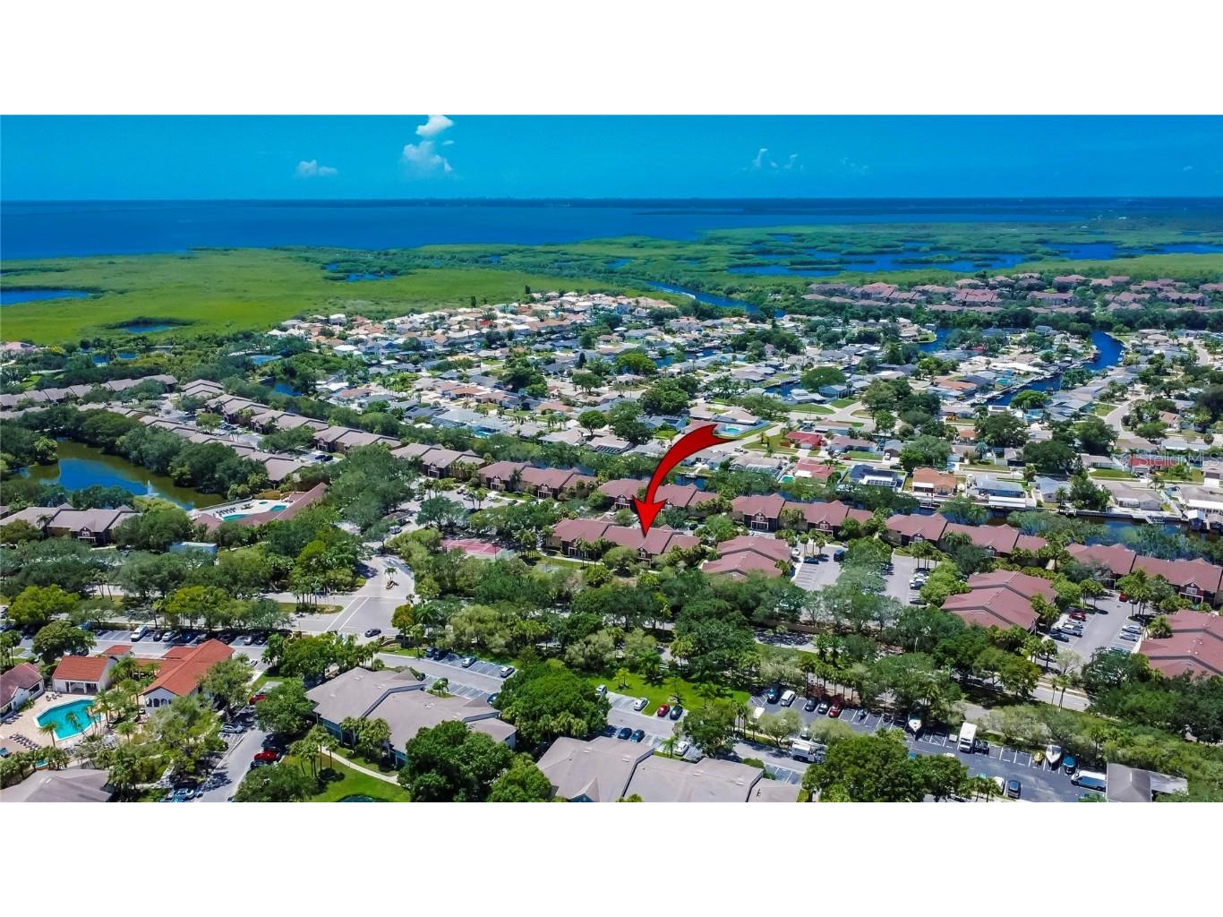 5579 Baywater Drive #5579 Tampa FL 33615 T3465604 image1