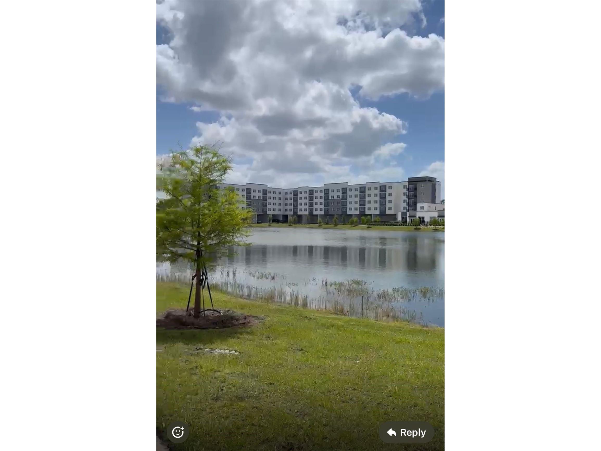 5579 Millenia Park Boulevard #203 Orlando FL 32839 O6404544 image2