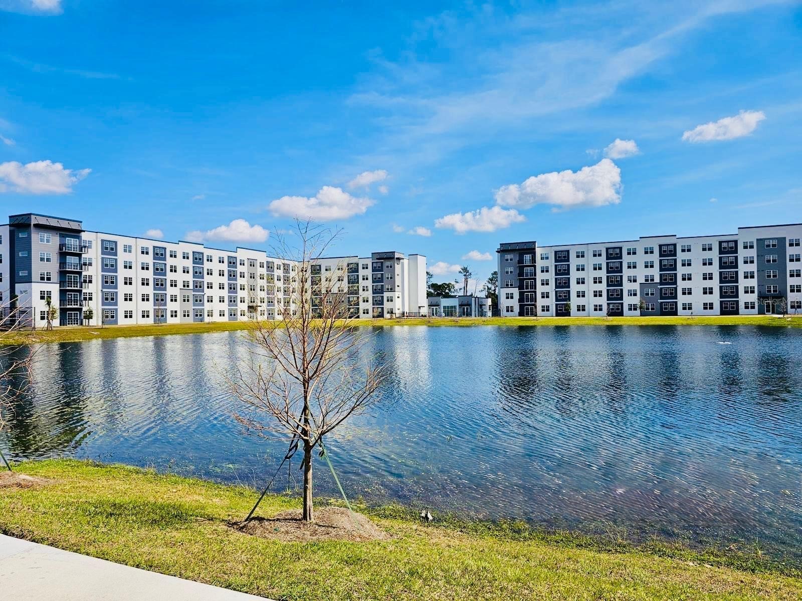 5579 Millenia Park Boulevard #205 Orlando FL 32839 O6391732 image1