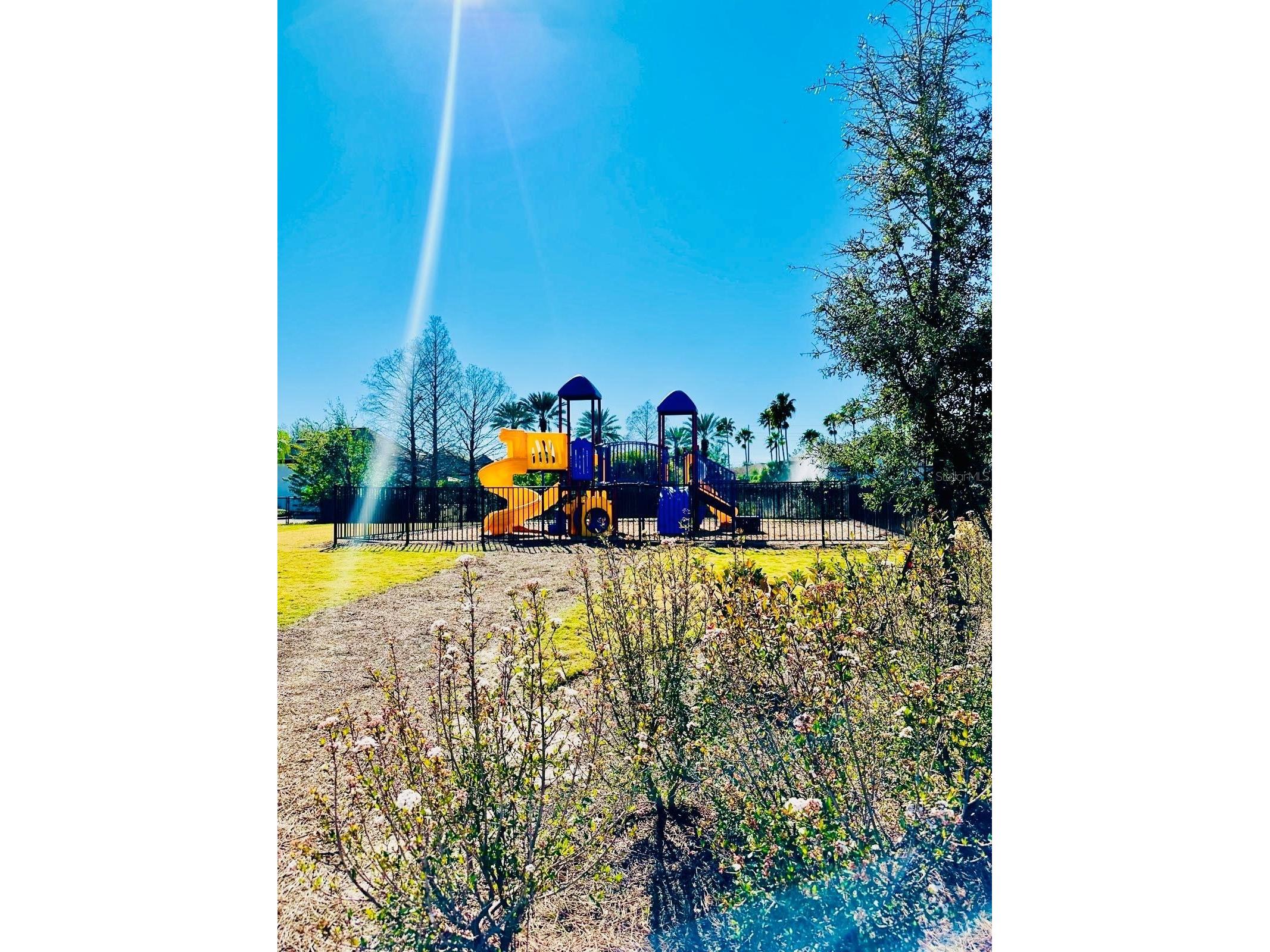 5579 Millenia Park Boulevard #205 Orlando FL 32839 O6391732 image16