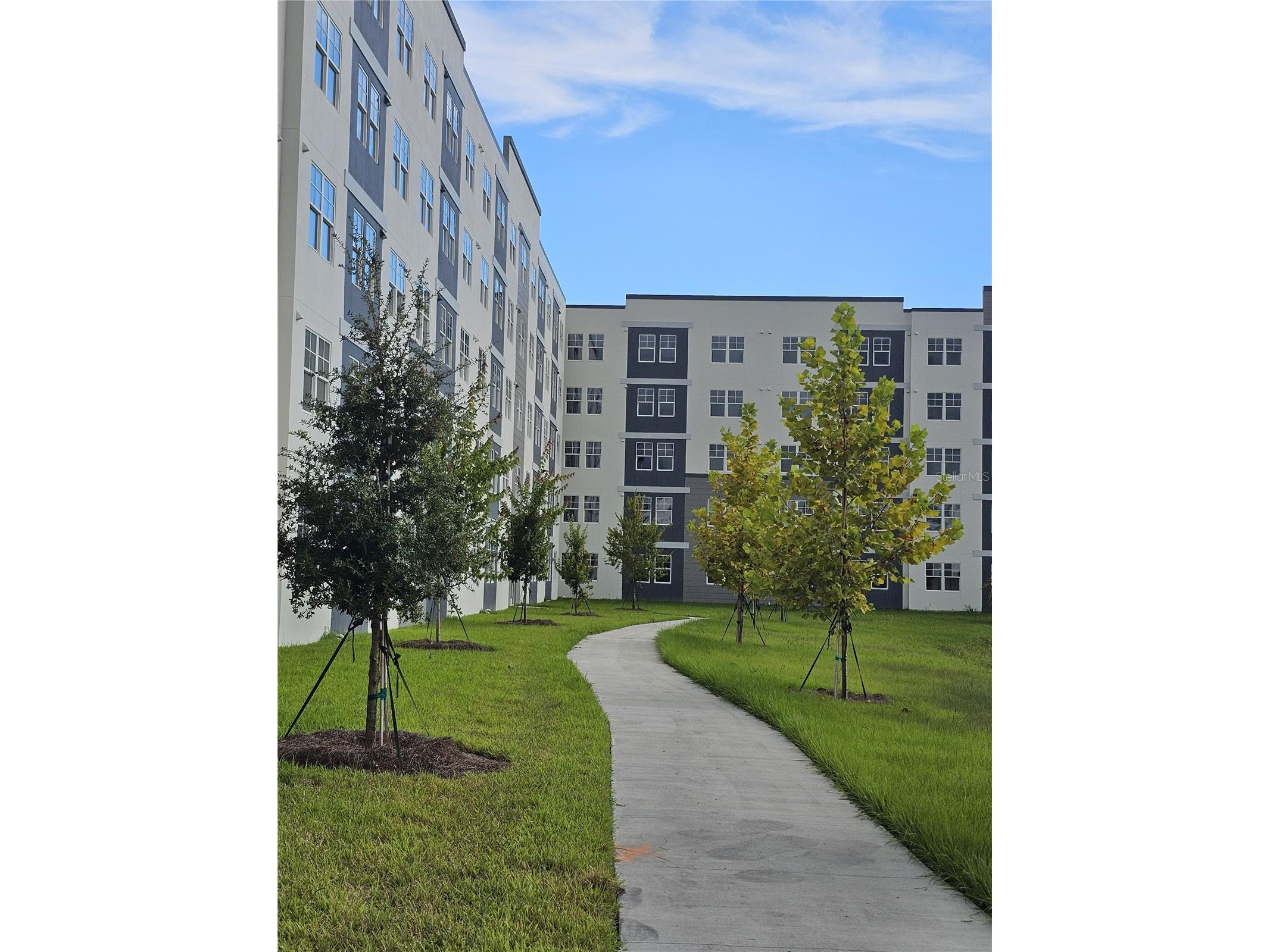 5579 Millenia Park Boulevard #205 Orlando FL 32839 O6391732 image2