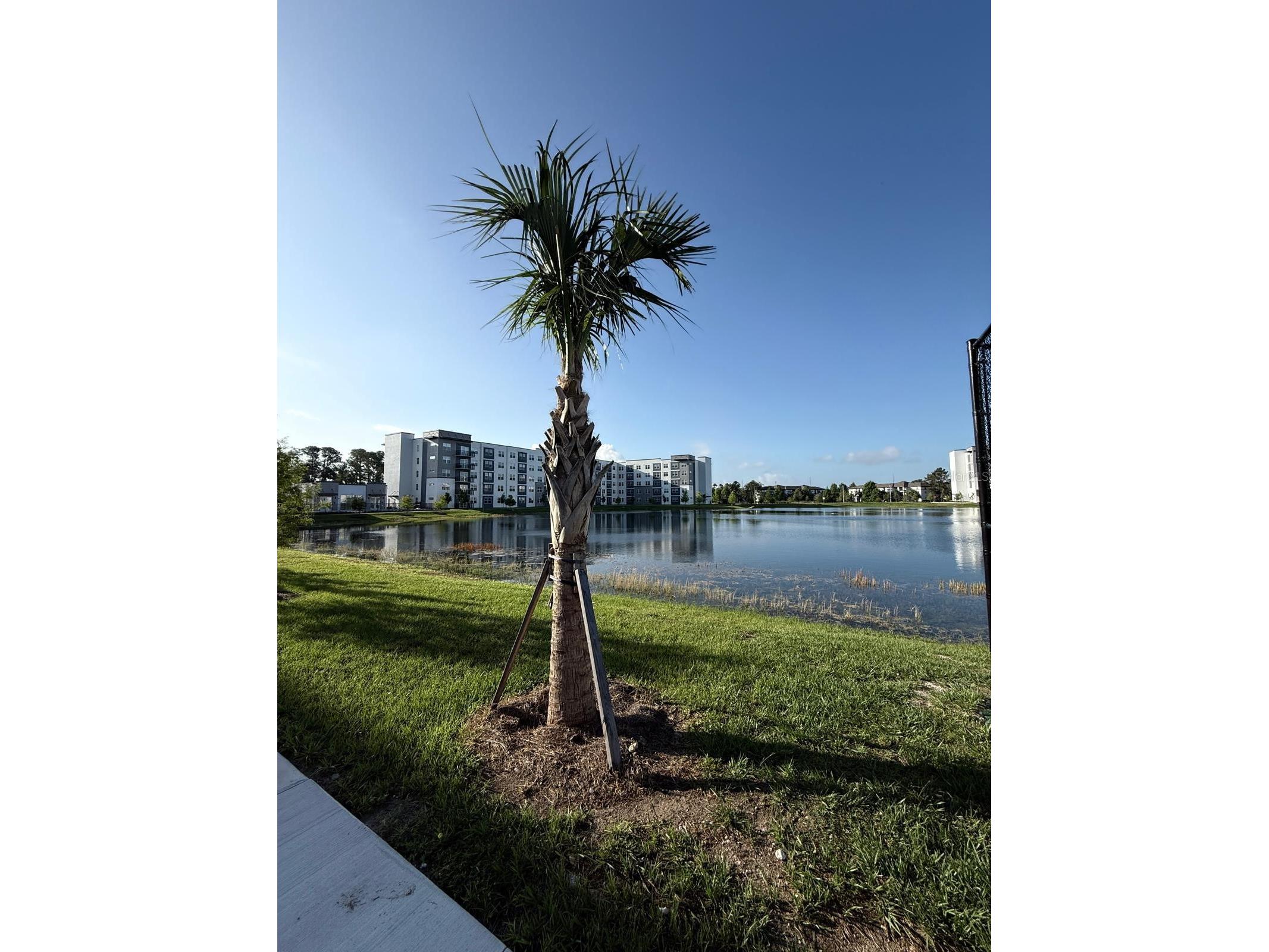 5579 Pga Blvd #524 Orlando FL 32839 O6409617 image21