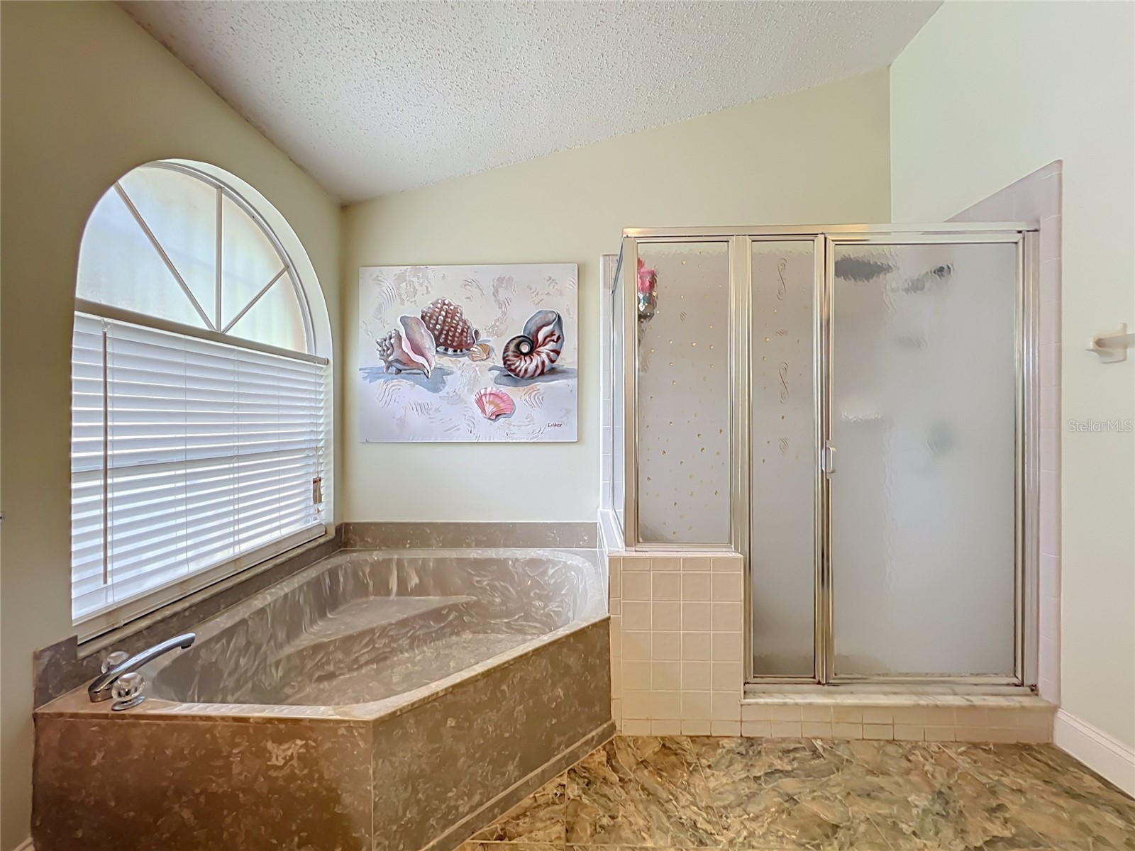 5579 Red Bone Lane Orlando FL 32810 O6420757 image31