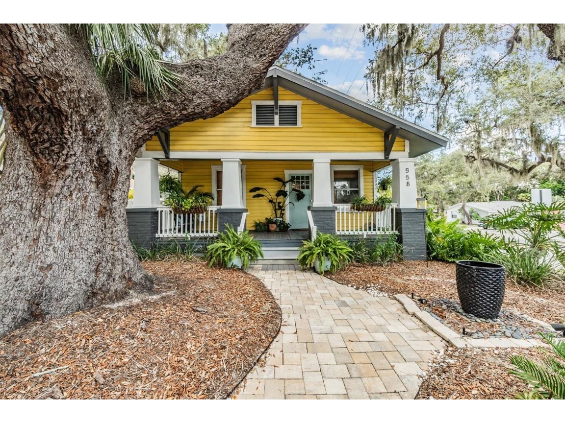 558 Beltrees Street Dunedin FL 34698 U8175289 image1