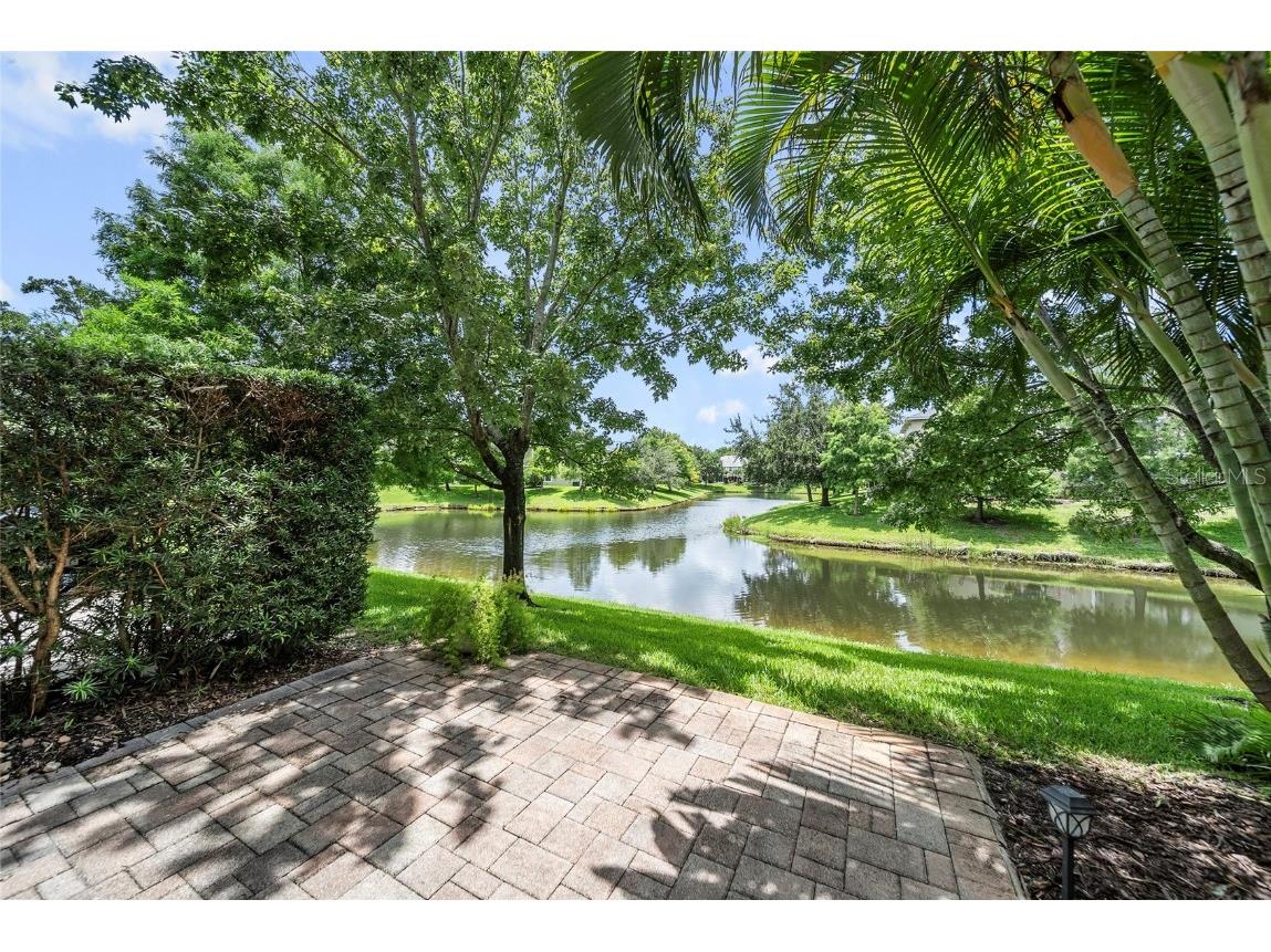 558 Harbor Ridge Drive Palm Harbor FL 34683 TB8407351 image1