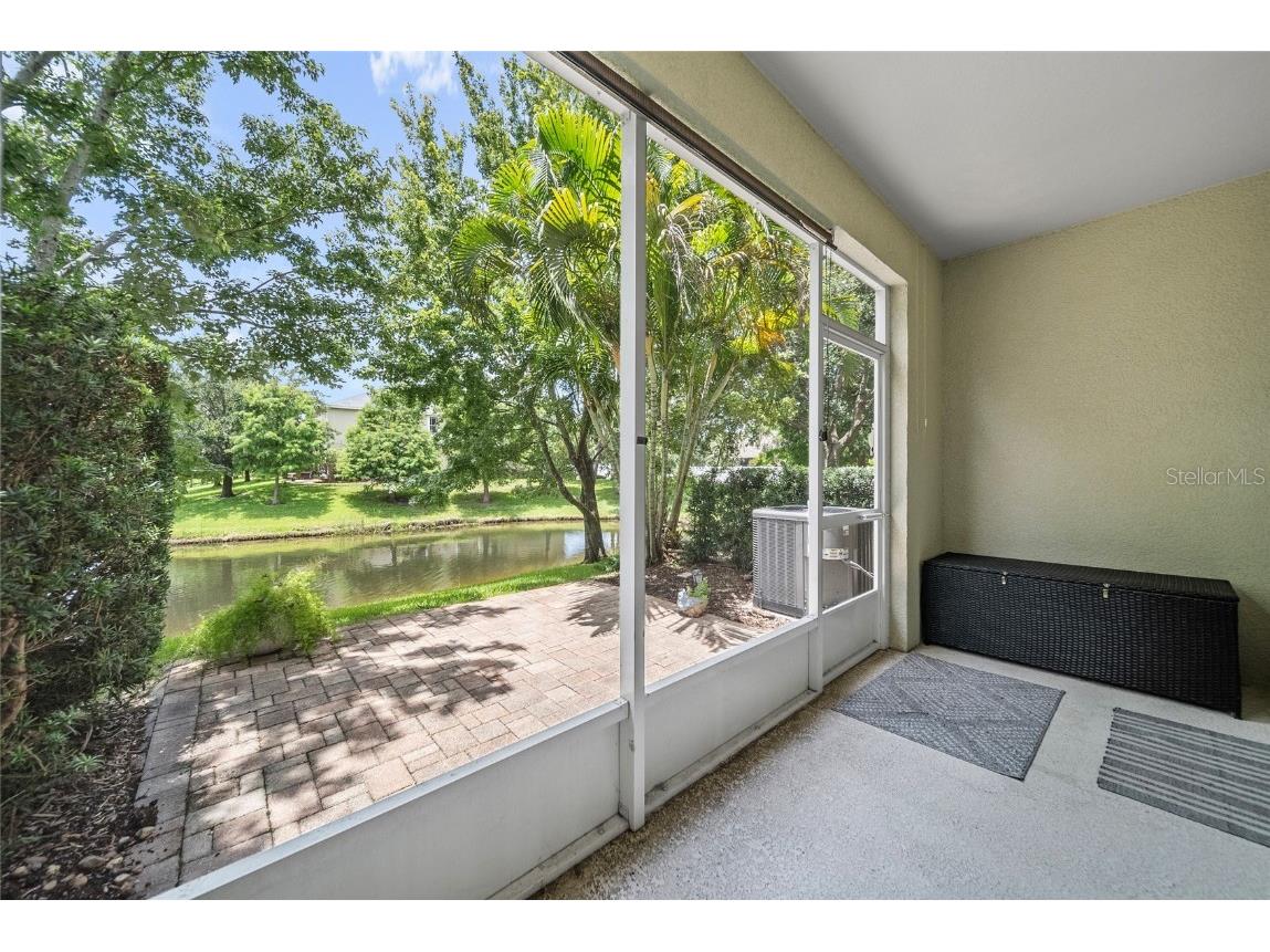 558 Harbor Ridge Drive Palm Harbor FL 34683 TB8407351 image19