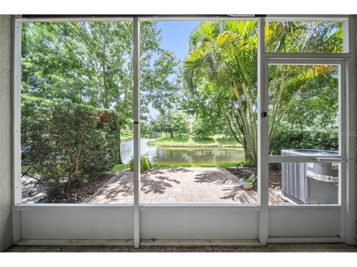 558 Harbor Ridge Drive Palm Harbor FL 34683 TB8407351 image20