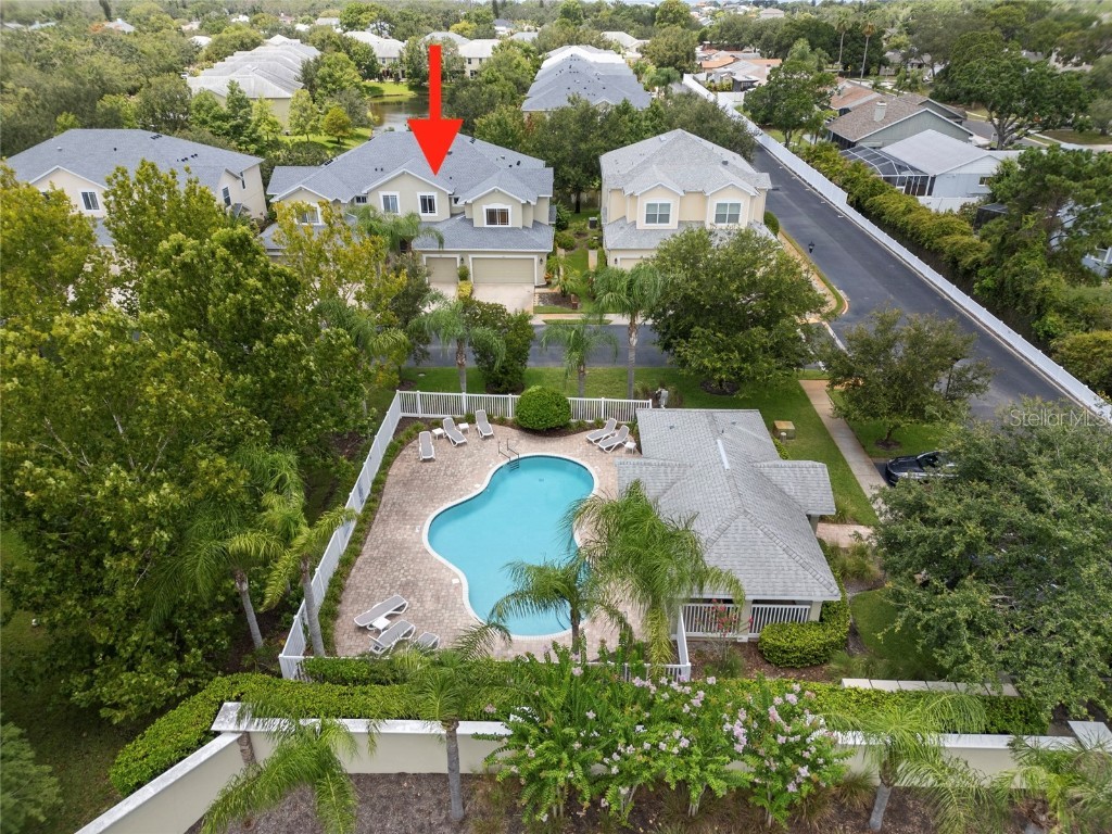 558 Harbor Ridge Drive Palm Harbor FL 34683 TB8407351 image23