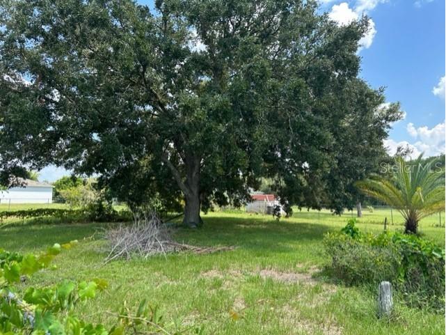 558 Maricopa Drive Kissimmee FL 34758 P4935574 image5