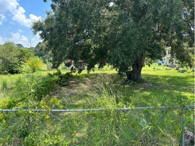 558 Maricopa Drive Kissimmee FL 34758 P4935574 image7