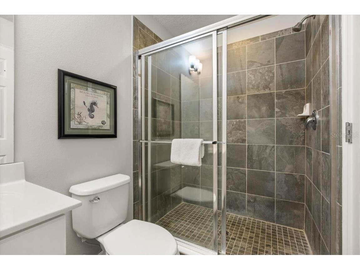 558 Orange Cosmos Boulevard Davenport FL 33837 O6365702 image21