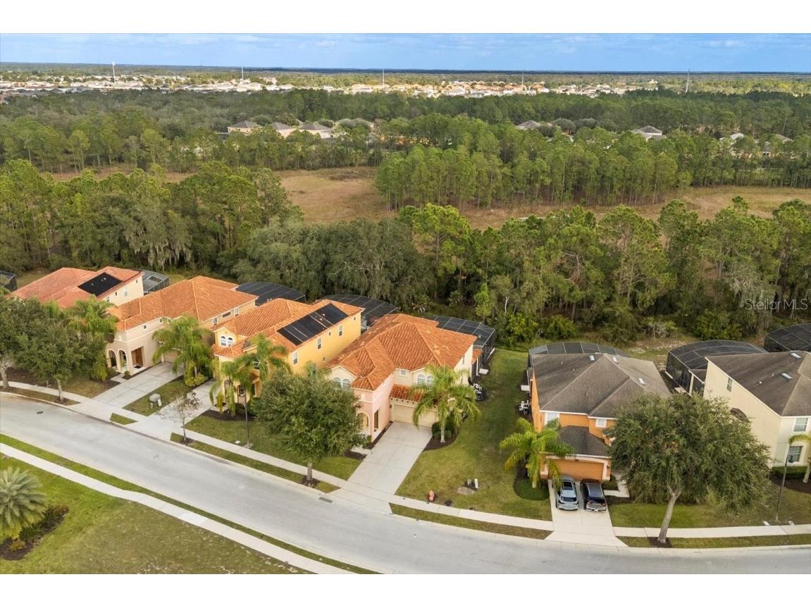 558 Orange Cosmos Boulevard Davenport FL 33837 O6365702 image50