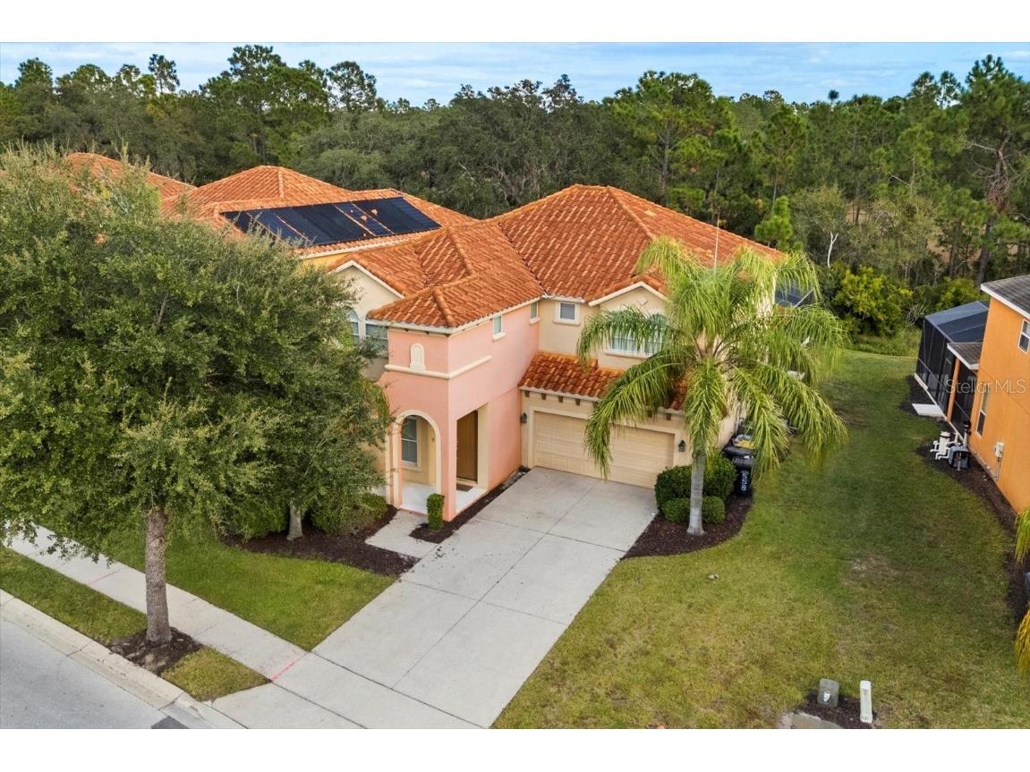 558 Orange Cosmos Boulevard Davenport FL 33837 O6365702 image51