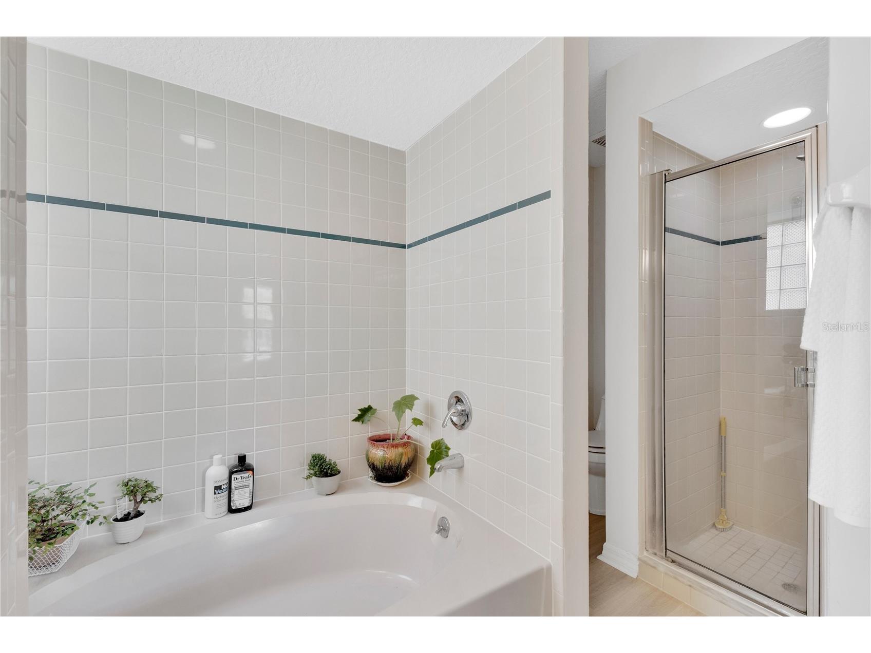 558 Pinnacle Drive Haines City FL 33844 L4960781 image9