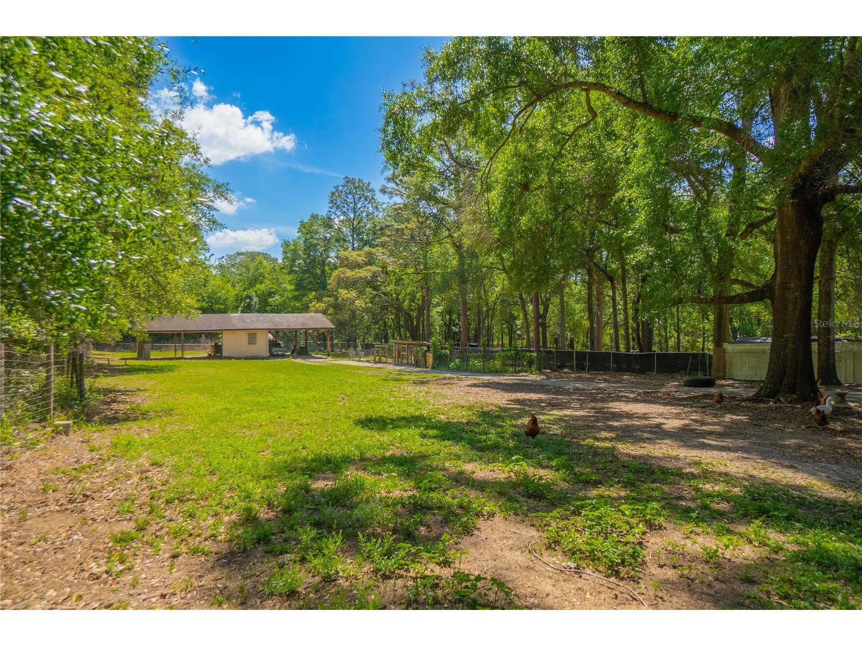 5581 SW 197th Terrace Dunnellon FL 34431 OM723407 image32