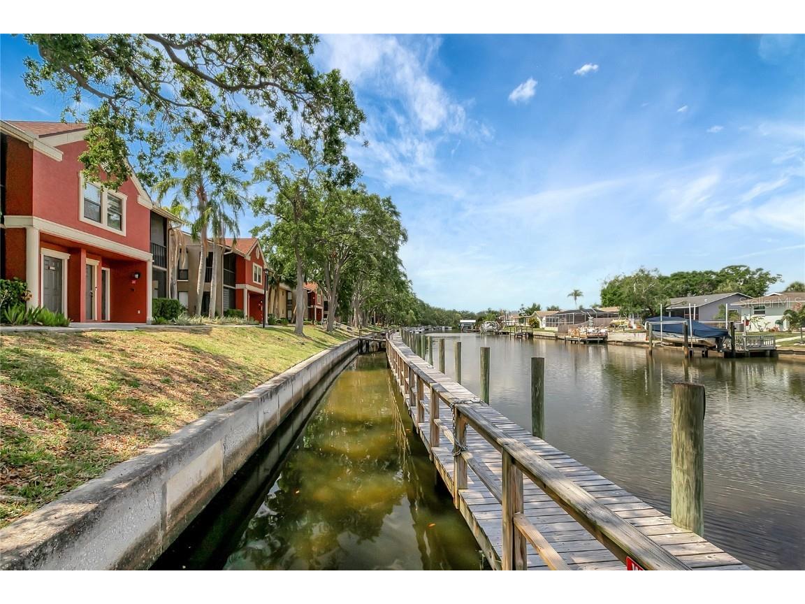 5582 Baywater Drive Tampa FL 33615 TB8386497 image1