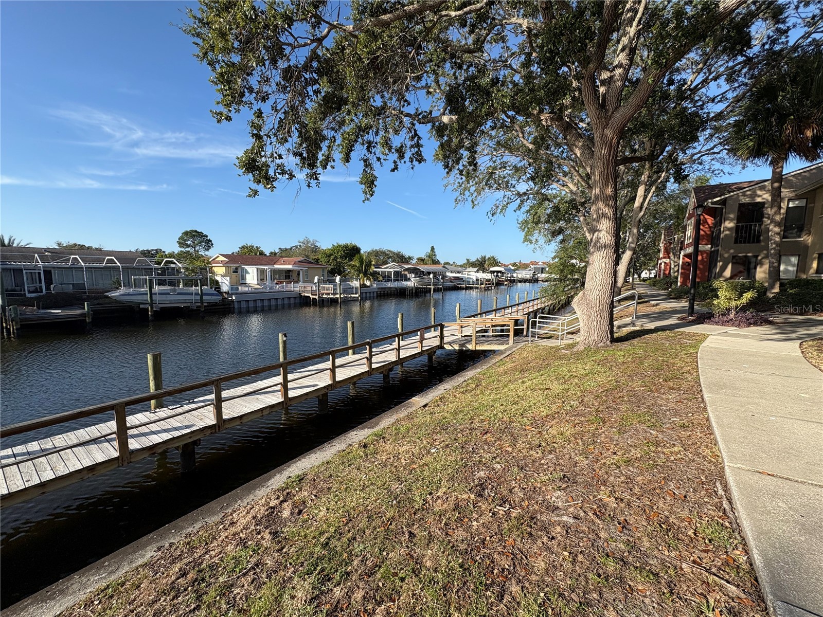5582 Baywater Drive Tampa FL 33615 TB8518762 image21