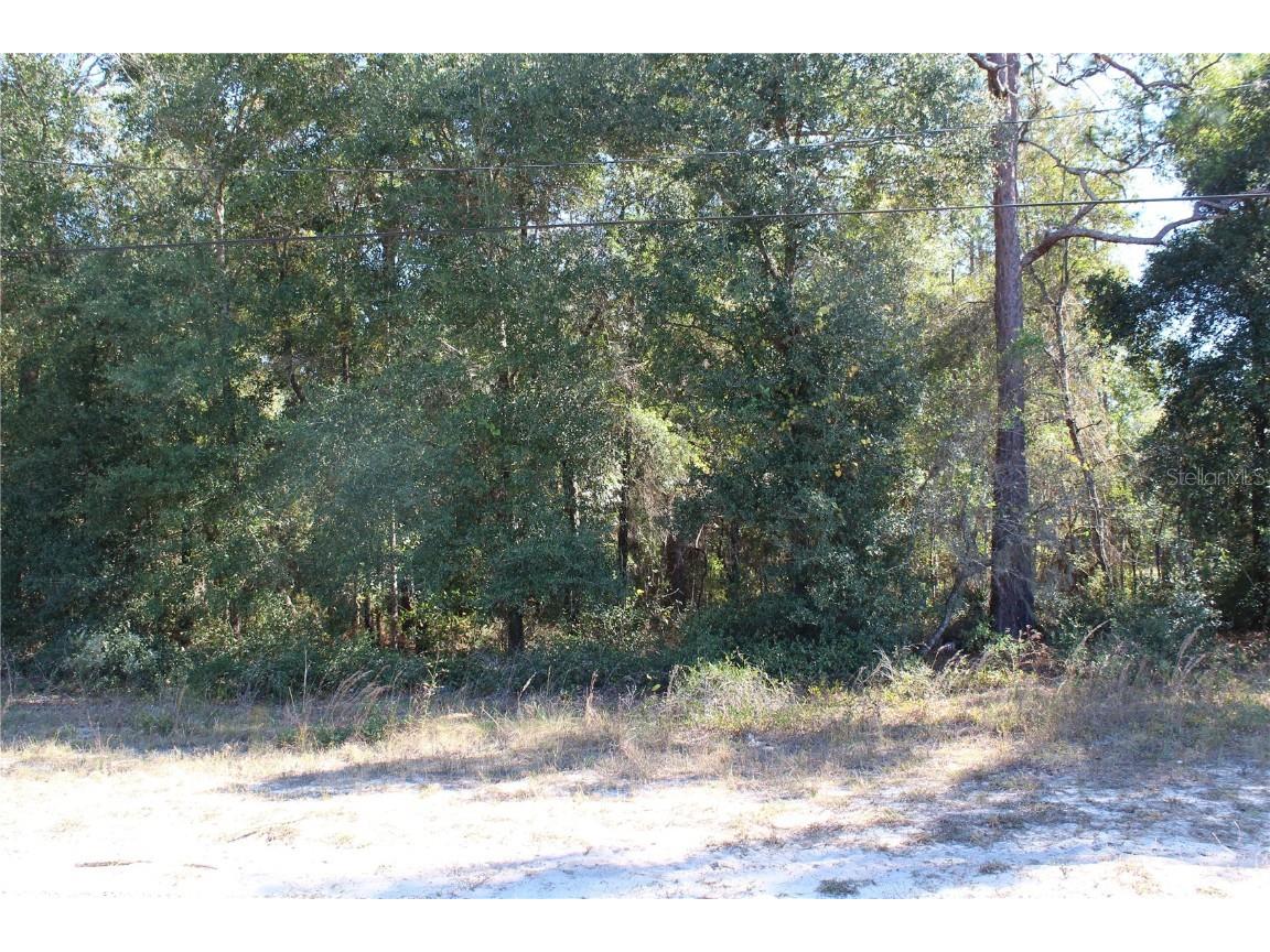 5584 County Road 352 Keystone Heights FL 32656 GC500971 image1