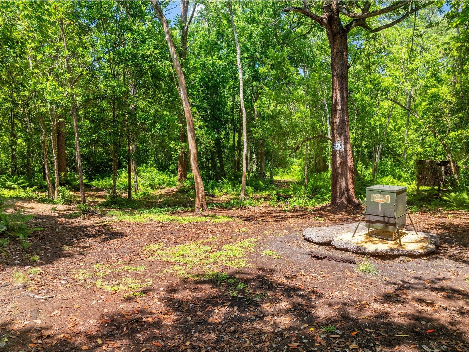 5585 Palm Avenue Okeechobee FL 34972 S5149274 image95