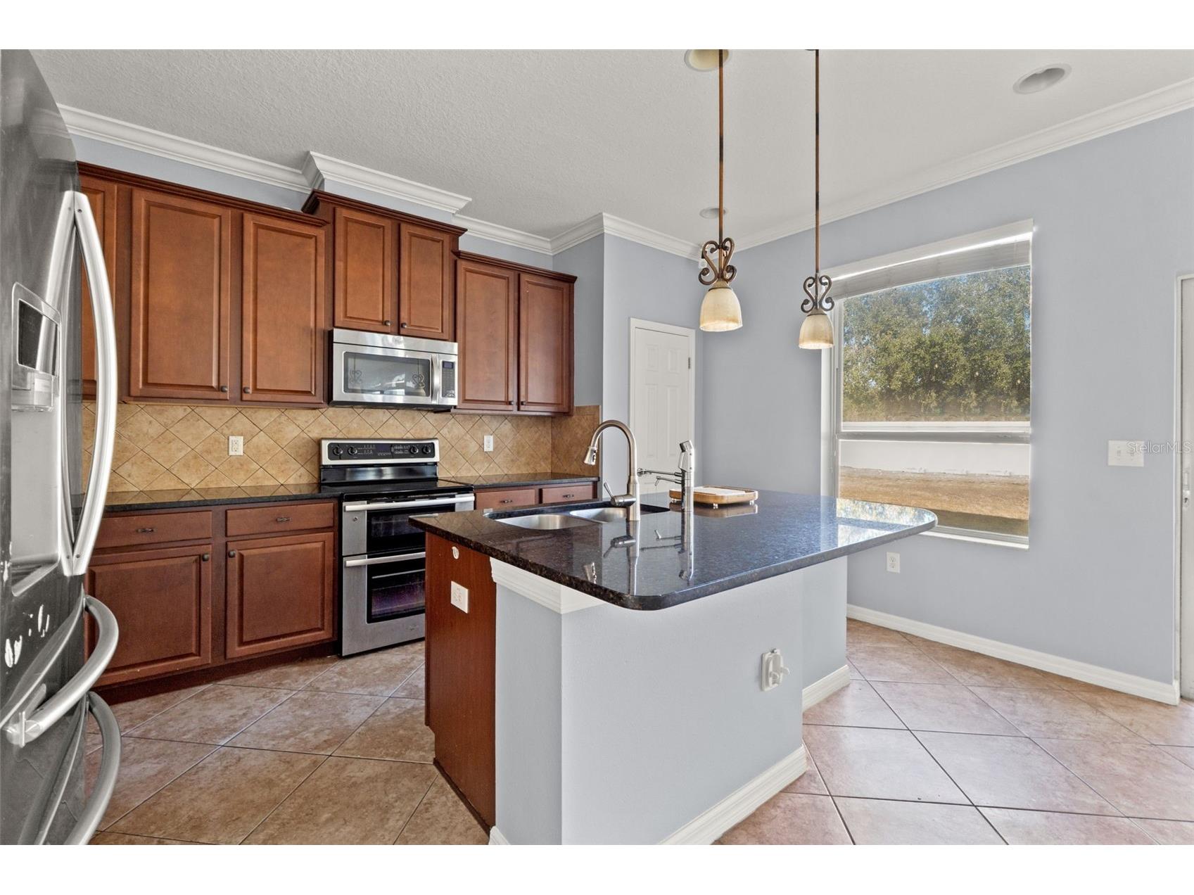 5586 Angelonia Terrace Land O Lakes FL 34639 W7882742 image12