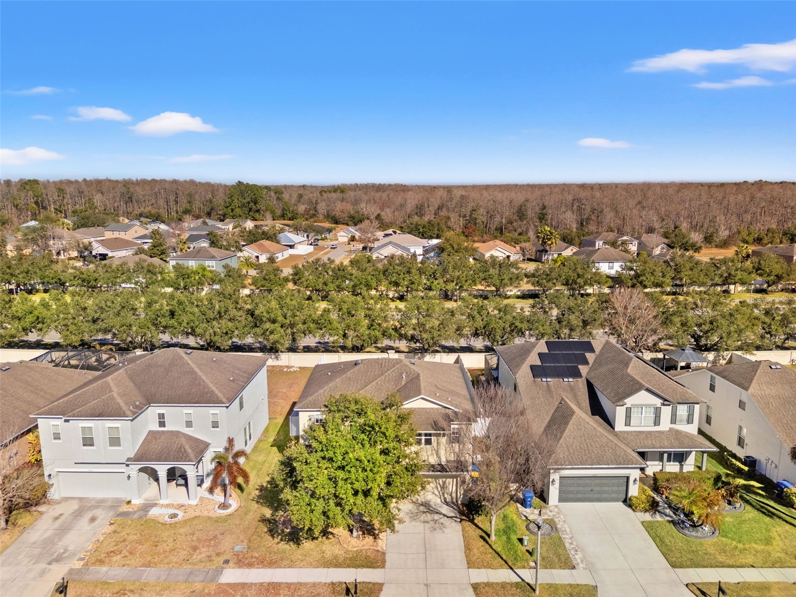 5586 Angelonia Terrace Land O Lakes FL 34639 W7882742 image4