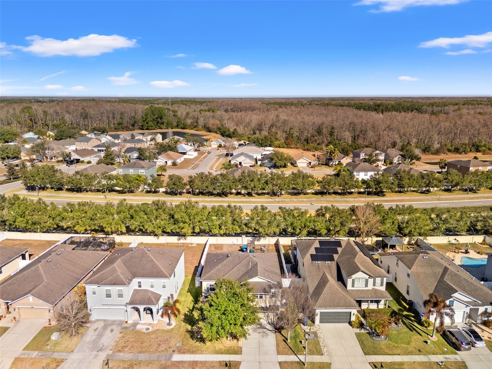 5586 Angelonia Terrace Land O Lakes FL 34639 W7882742 image5