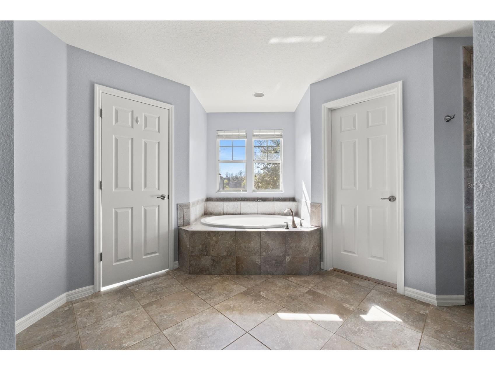 5586 Angelonia Terrace Land O Lakes FL 34639 W7882742 image50