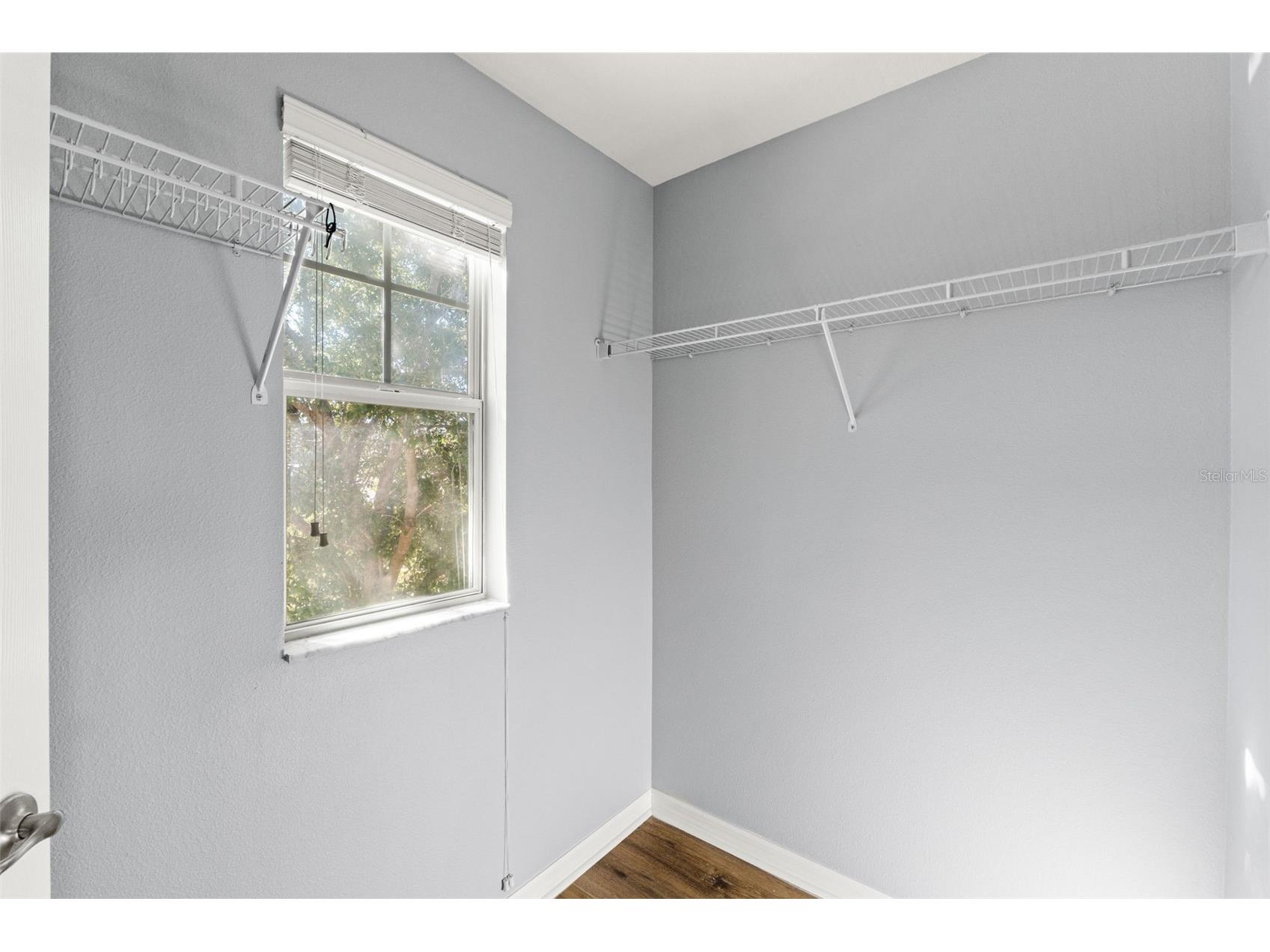 5586 Angelonia Terrace Land O Lakes FL 34639 W7882742 image53